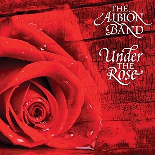 "Album cover with a dark red rose and green text on a black background."