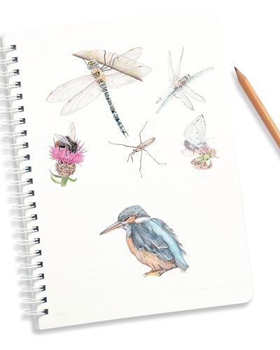 Book with river illustrations and artwork, likely featuring watercolor or pen-and-ink drawings.