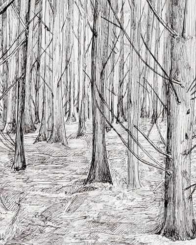 A black and white ink drawing of a dense forest with many tall trees.