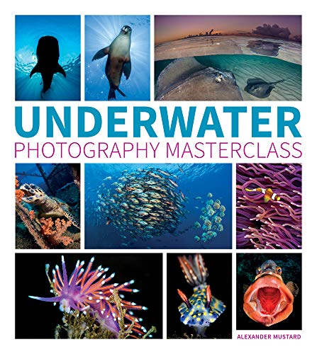 Book cover featuring diverse underwater life and photography examples.