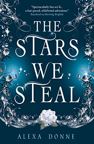 Book cover: "The Stars We Steal" with ornate silver floral design.
