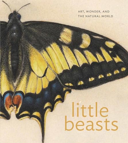Book cover featuring a detailed illustration of a yellow and black butterfly.