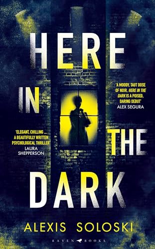 Book cover: Silhouette in a window, brick wall, dark and moody.