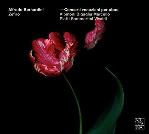 CD cover featuring a red and white tulip against a black background.