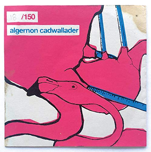 Pink album cover with abstract blue and black line art of birds.