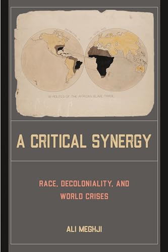Book cover: "A Critical Synergy" with world map imagery and text.