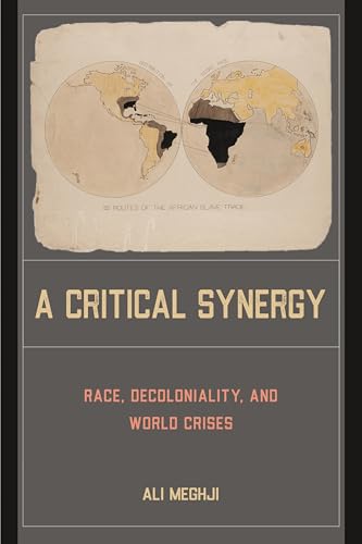 Book cover with world maps and text: “A Critical Synergy.”