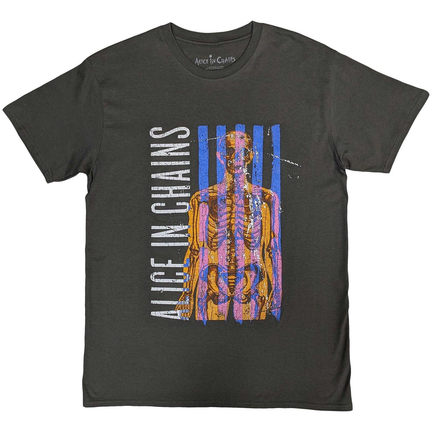 Black unisex t-shirt featuring a skeletal graphic and Alice In Chains branding.