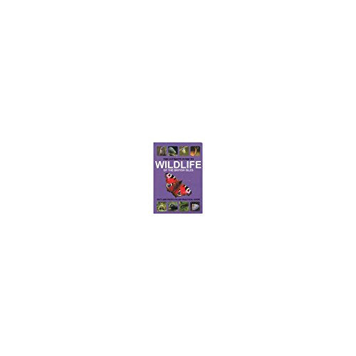 Book cover featuring British wildlife illustrations, titled "THE ULTIMATE GUIDE TO WILDLIFE".