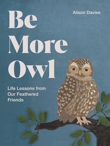 Book cover with an illustrated owl on a branch against a blue background.
