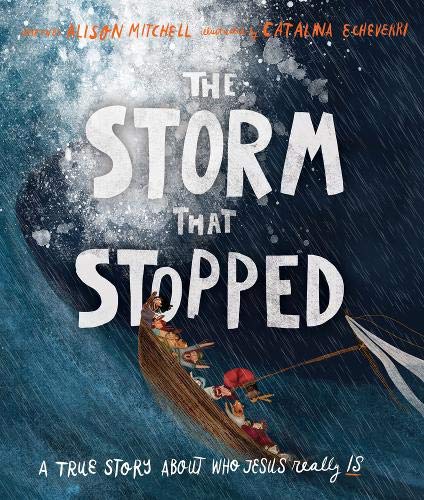 Book cover featuring a small boat in a stormy sea with large white text.
