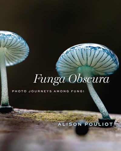 Book cover: close-up of blue-gilled mushrooms, title “Funga Obscura.”