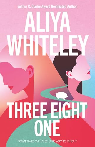 Book cover for "Three Eight One" by Aliya Whiteley, with abstract faces.