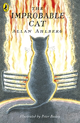 Book cover: gray cat silhouette against a fiery, striped background.