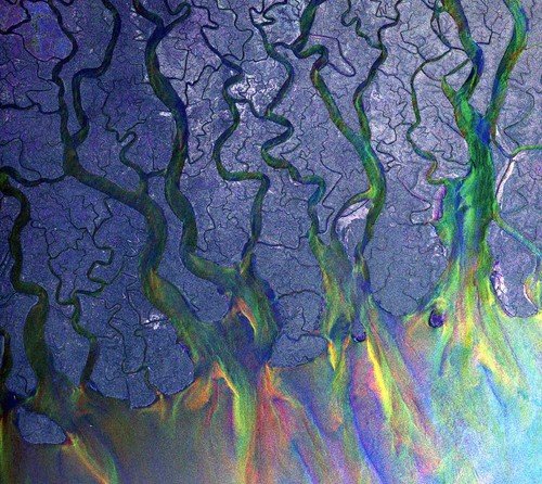 Aerial view of a river delta with branching channels against a textured blue background.
