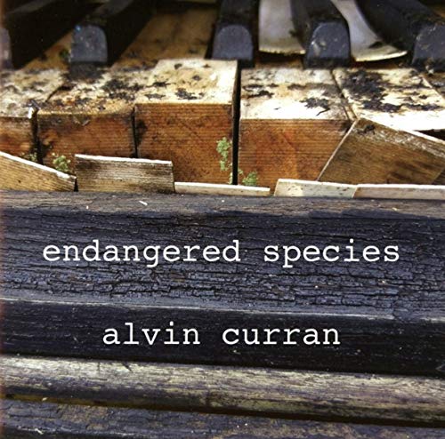 "CD cover featuring a close-up of a damaged piano's interior with white text overlay."
