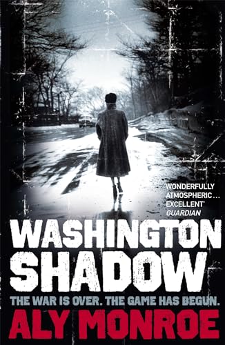 Book cover: a lone figure stands on a wet, shadowed street.