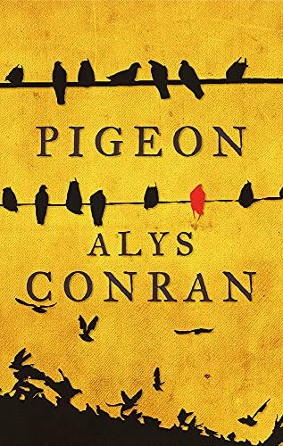 Yellow book cover with silhouetted birds and the title "Pigeon" by Alys Conran.