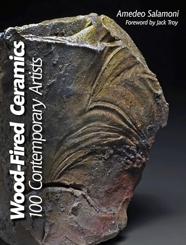 Book cover featuring a textured, earthy-toned wood-fired ceramic piece.
