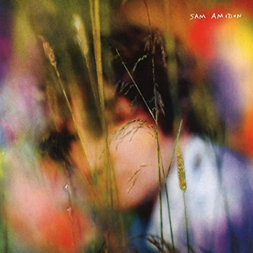 Album cover with a blurry man surrounded by tall grass and colorful background.