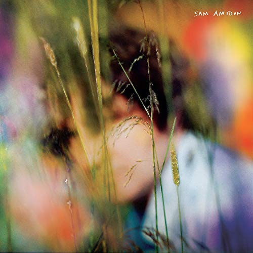 Album cover for Sam Amidon featuring blurred figure in tall grass.