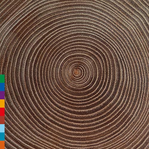 Close-up of brown concentric tree rings with a vertical column of colored squares left.