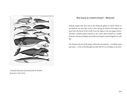 Vintage-style illustration of various whales and marine mammals from a poetry book.