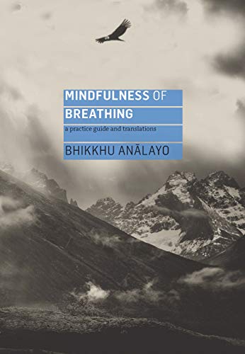 Book cover featuring a bird flying over misty mountains with blue text overlay.