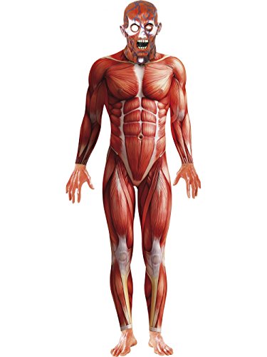 "Anatomical man costume: full-body illustration of human muscular system on a mannequin."