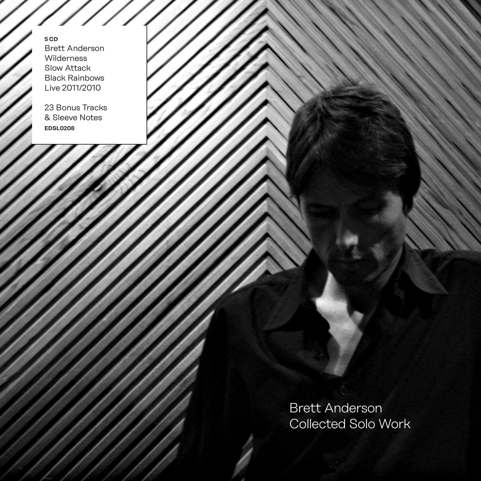 Black and white portrait of Brett Anderson against a chevron-patterned wooden wall.