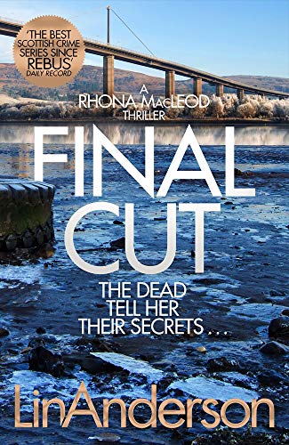 Book cover featuring a bridge over a rocky, icy shoreline with large white text.