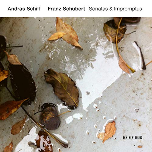 CD cover featuring fallen leaves on a textured grey surface.