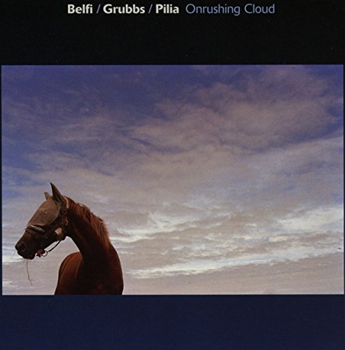 A horse wearing a fly mask stands against a cloudy blue sky.