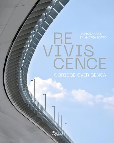Book cover featuring a curved bridge against a bright blue sky.