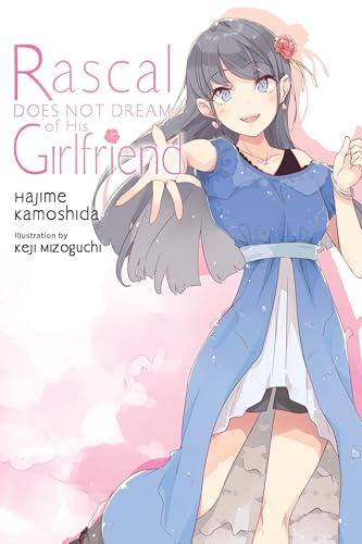 Anime-style book cover featuring a young woman in a blue dress.