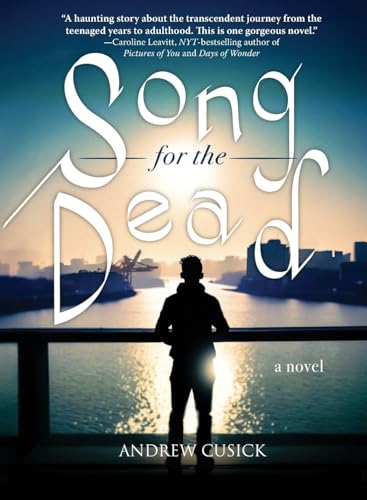 Book cover: Silhouette of a person overlooking a city skyline.