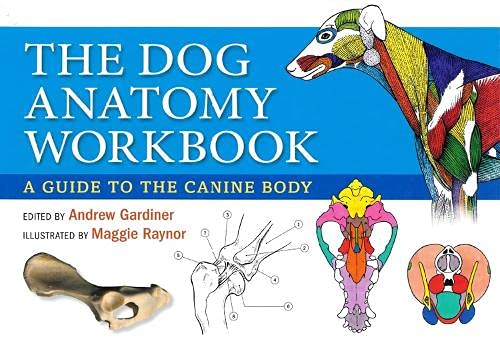 Book cover titled The Dog Anatomy Workbook featuring colorful anatomical illustrations of a dog.