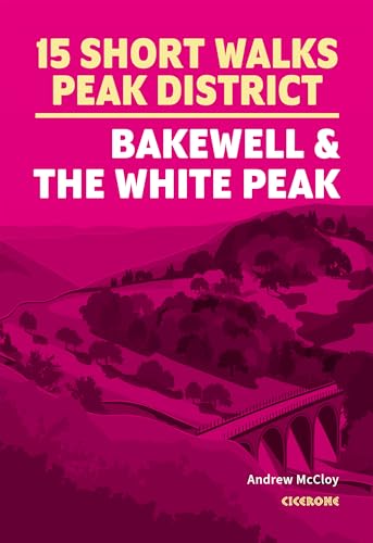 Book cover: pink background, illustrated bridge and rolling hills.