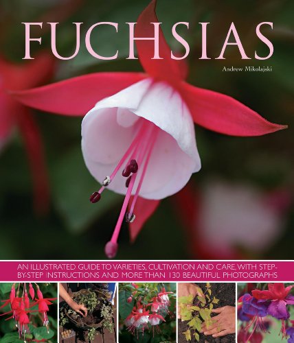 Book cover featuring a close-up of a vibrant pink and white fuchsia flower.