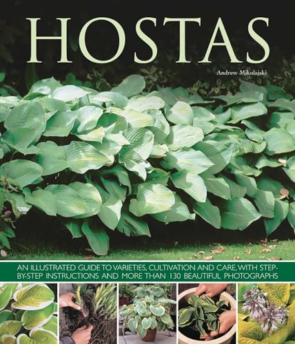 Colorful book with hosta plant photos and illustrations, likely with a garden or floral cover.