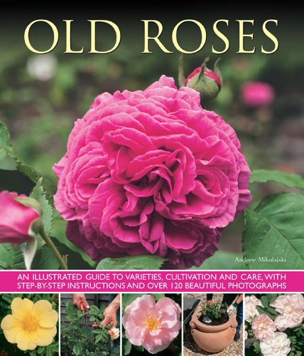 Book cover featuring a large, pink, fully bloomed old rose.