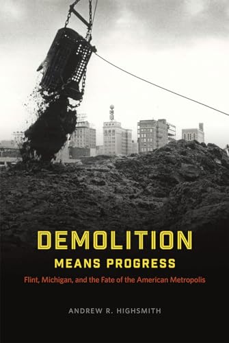 Book cover: demolition claw over rubble, city skyline in background.