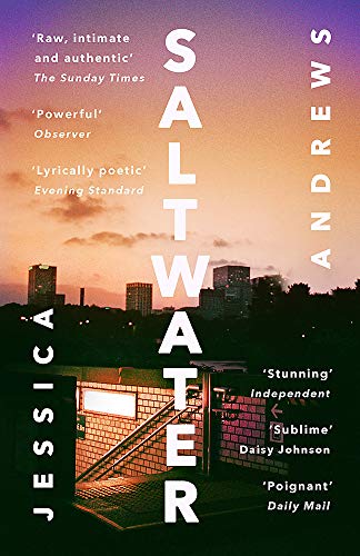 Book cover: “Saltwater” by Jessica Andrews, showing a city skyline at dusk.