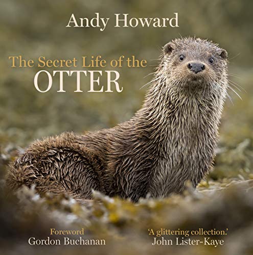 Book cover featuring a brown otter with wet fur, facing forward.