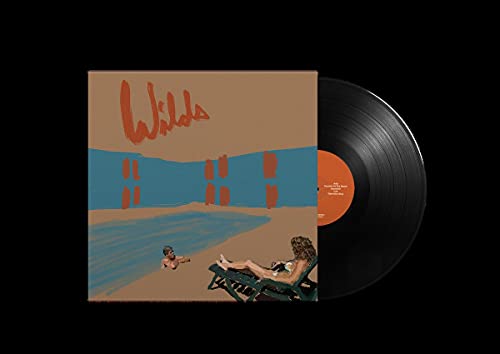 Vinyl record for Andy Shauf’s “Wilds” with painted cover art.