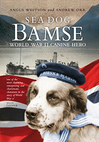 Book cover featuring a St. Bernard dog wearing a navy beret and sailor collar.