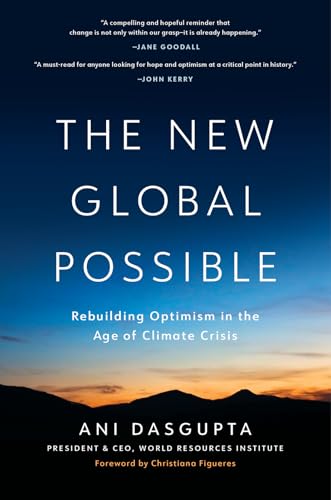Book cover: "The New Global Possible" with a mountain sunset background.