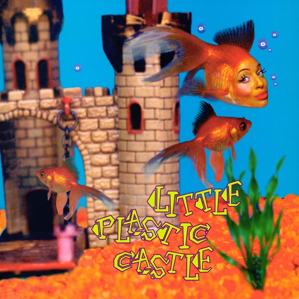 Album cover featuring a woman’s face with goldfish and a plastic castle.
