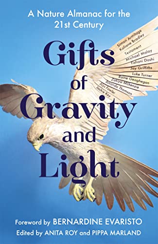 Book cover featuring a white bird in flight against a blue sky background.