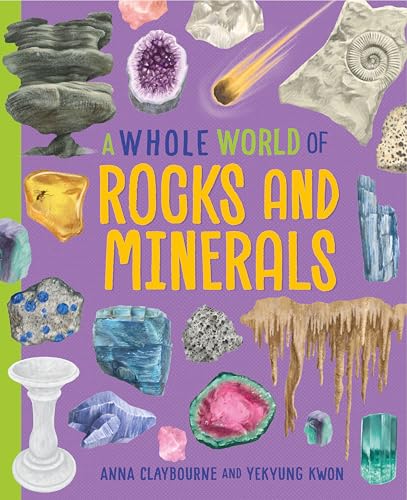 Book cover featuring colorful illustrations of various rocks and minerals.